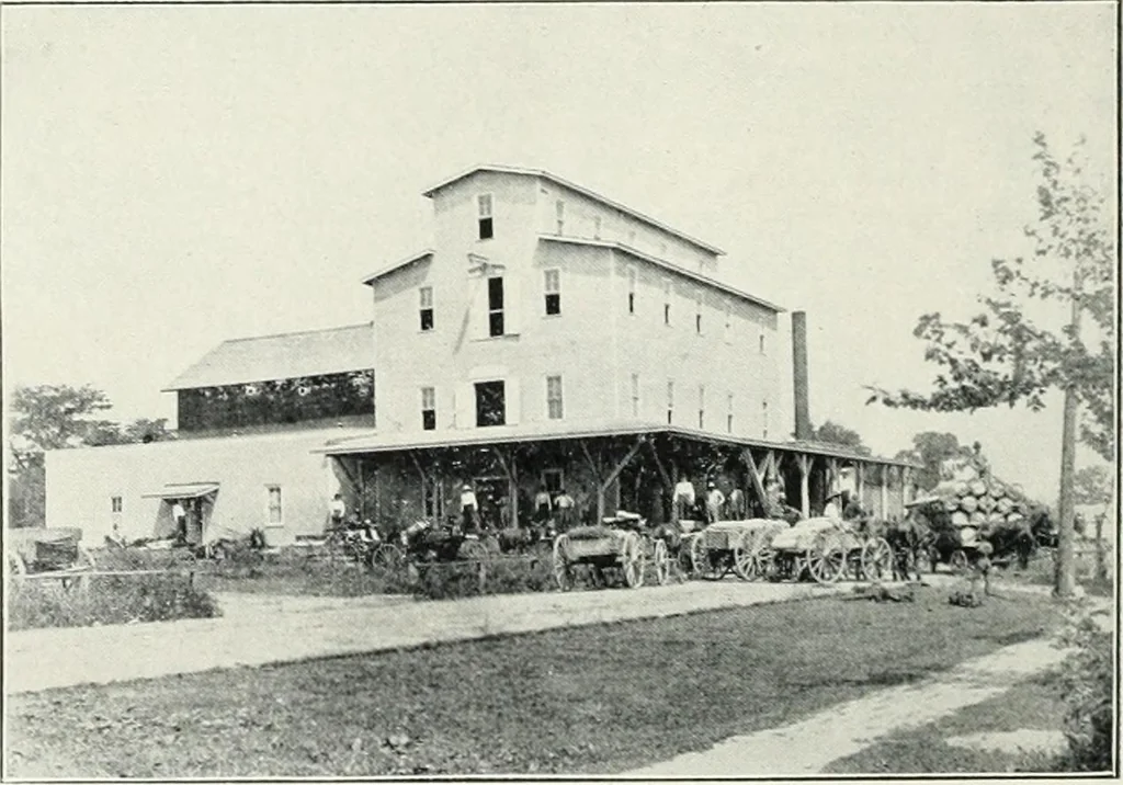 An illustration from McLeansboro, Illinois illustrated : special supplement to the McLeansboro times, 1910, leaf 11