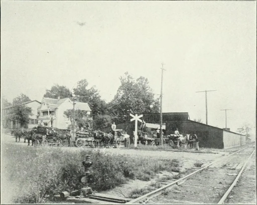 An illustration from McLeansboro, Illinois illustrated : special supplement to the McLeansboro times, 1910, leaf 12