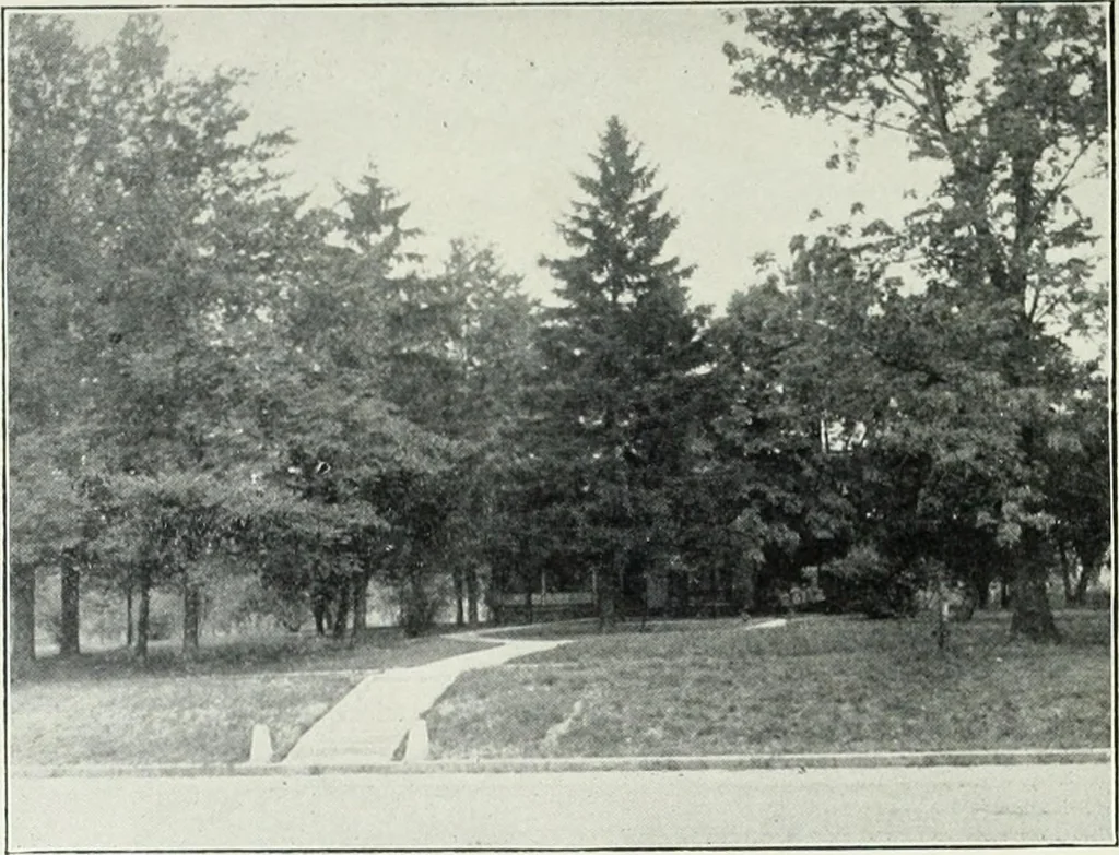An illustration from McLeansboro, Illinois illustrated : special supplement to the McLeansboro times, 1910, leaf 32