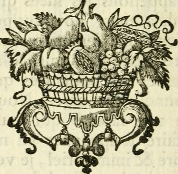 An illustration from Médecine de l'esprit : où l'on cherche 1o., le méchanisme du corps qui influe sur les fonctions de l'ame : 2o., les causes physiques qui rendent ce méchanisme ou défectueux, ou plus parfait : 3o., les moyens qui peuvent l'entretenir dans son état libre, & le rectifier lorqu'il est gêné, 1769, leaf 43