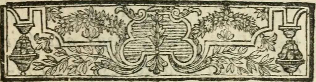 An illustration from Médecine de l'esprit : où l'on cherche 1o., le méchanisme du corps qui influe sur les fonctions de l'ame : 2o., les causes physiques qui rendent ce méchanisme ou défectueux, ou plus parfait : 3o., les moyens qui peuvent l'entretenir dans son état libre, & le rectifier lorqu'il est gêné, 1769, leaf 8