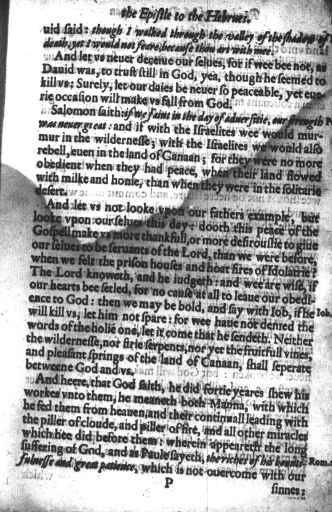 An illustration from M. Derings workes. More at large then euer hath heere-to-fore been printed in any one volume, 1614, leaf 149