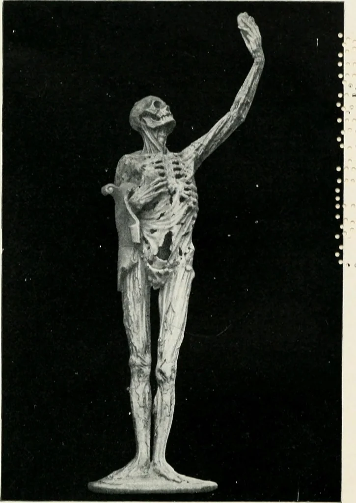 An illustration from The meaning of art, its nature, rôle, and value, 1913, leaf 177