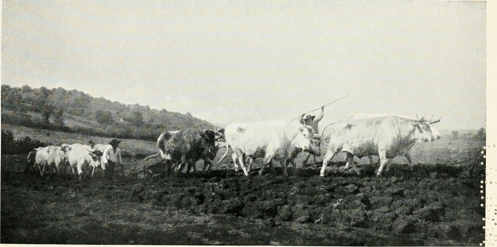 An illustration from The meaning of art, its nature, rôle, and value, 1913, leaf 236
