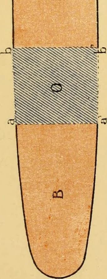 An illustration from Measurement of vessels for the Panama canal, 1913, leaf 504