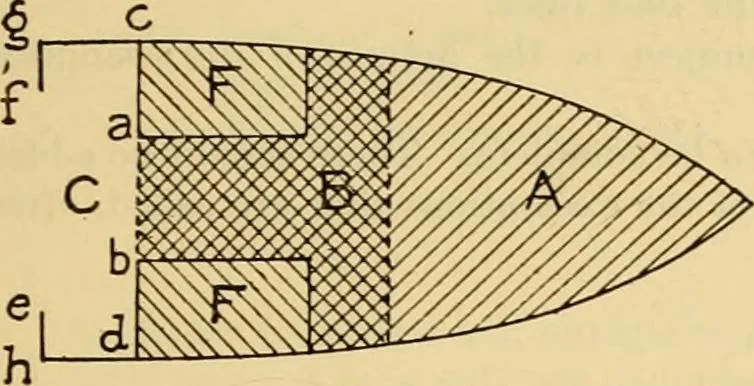 An illustration from Measurement of vessels for the Panama canal, 1913, leaf 534