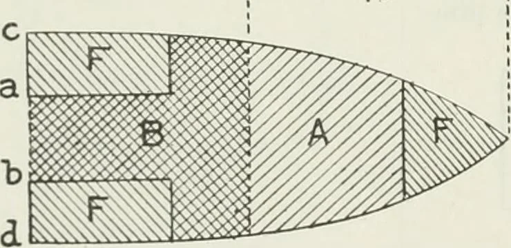 An illustration from Measurement of vessels for the Panama canal, 1913, leaf 539