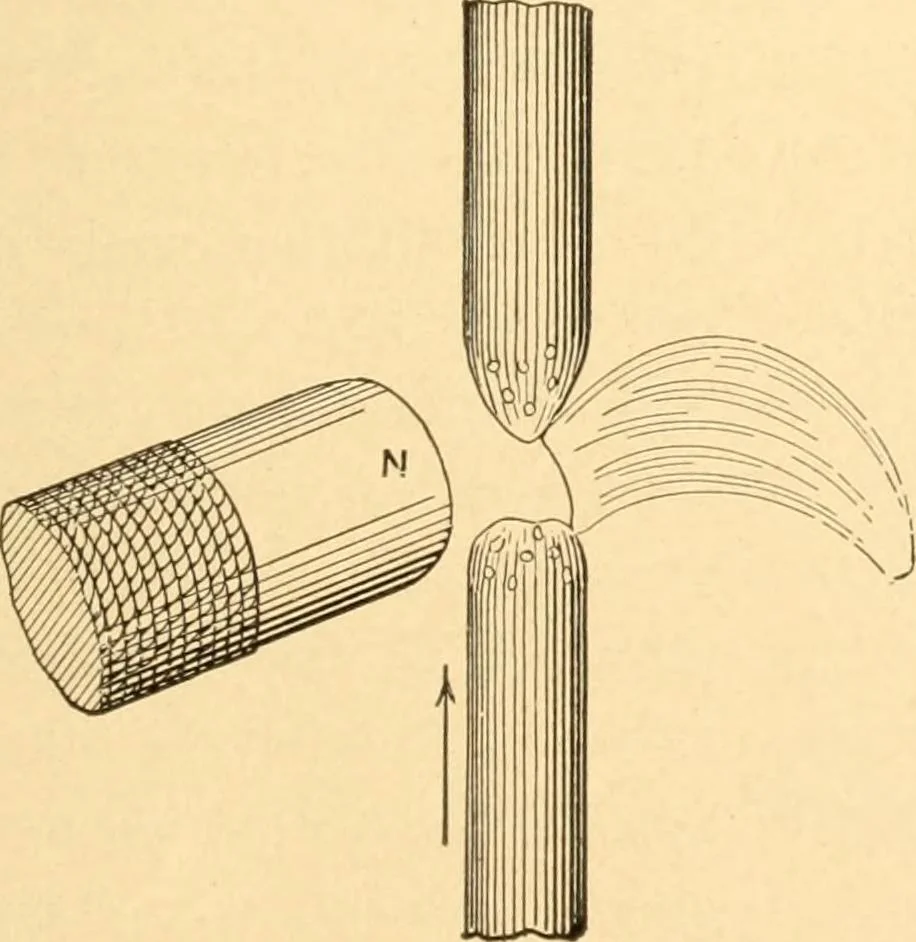 An illustration from Mechanical appliances, mechanical movements and novelties of construction; a complete work and a continuation, as a second volume, of the author's book entitled "Mechanical movements, powers and devices" ... including an explanatory chapter on the leading conceptions of perpetual motion existing during the past three centuries, 1910, leaf 174