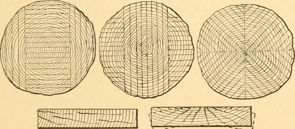 An illustration from Mechanical appliances, mechanical movements and novelties of construction; a complete work and a continuation, as a second volume, of the author's book entitled "Mechanical movements, powers and devices" ... including an explanatory chapter on the leading conceptions of perpetual motion existing during the past three centuries, 1910, leaf 318