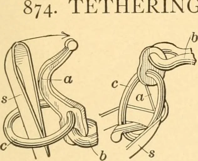 An illustration from Mechanical appliances, mechanical movements and novelties of construction; a complete work and a continuation, as a second volume, of the author's book entitled "Mechanical movements, powers and devices" ... including an explanatory chapter on the leading conceptions of perpetual motion existing during the past three centuries, 1910, leaf 342