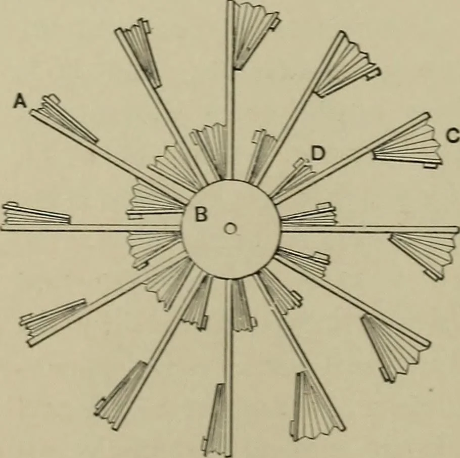 An illustration from Mechanical applicances, mechanical movements and novelties of construction; a complete work and a continuation, as a second volume, of the author's book entitled "Mechanical mvements, powers and devices";, 1917, leaf 387