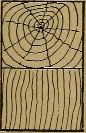 An illustration from Mechanical drawing : a manual for teachers and students, 1902, leaf 70