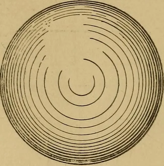 An illustration from Mechanical drawing self-taught: comprising instructions in the selection and preparation of drawing instruments. Elementary instruction in practical mechanical drawing. Together with examples in simple geometry and elementary mechanism, including screw threads, gear wheels, mechanical motions, engines and boilers, 1889, leaf 89