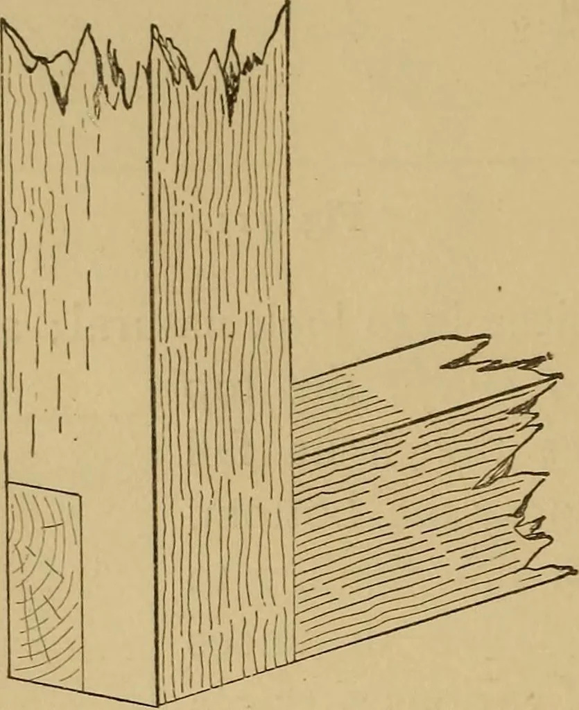 An illustration from Mechanical drawing self-taught: comprising instructions in the selection and preparation of drawing instruments. Elementary instruction in practical mechanical drawing. Together with examples in simple geometry and elementary mechanism, including screw threads, gear wheels, mechanical motions, engines and boilers, 1889, leaf 91