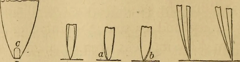 An illustration from Mechanical drawing self-taught: comprising instructions in the selection and preparation of drawing instruments, elementary instruction in practical mechanical drawing together with examples in simple geometry and elementary mechanism, including screw threads, gear wheels, mechanical motions, engines and boilers, 1883, leaf 41