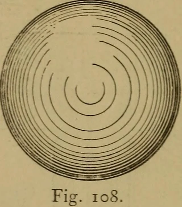 An illustration from Mechanical drawing self-taught: comprising instructions in the selection and preparation of drawing instruments. Elementary instruction in practical mechanical drawing. Together with examples in simple geometry and elementary mechanism, including screw threads, gear wheels, mechanical motions, engines and boilers, 1889, leaf 89