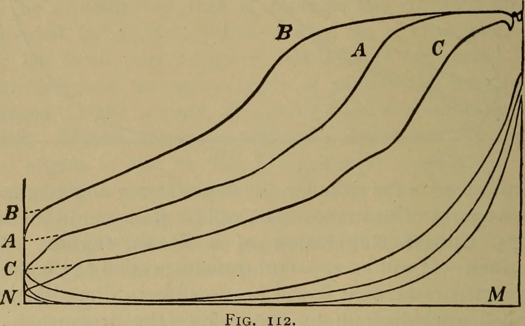An illustration from The mechanical engineering of power plants, 1897, leaf 185