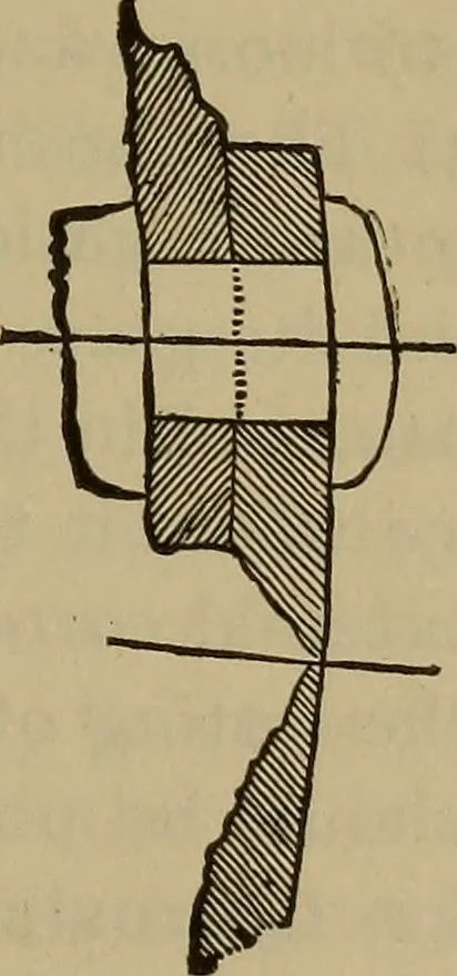 An illustration from The mechanical engineering of power plants, 1897, leaf 668