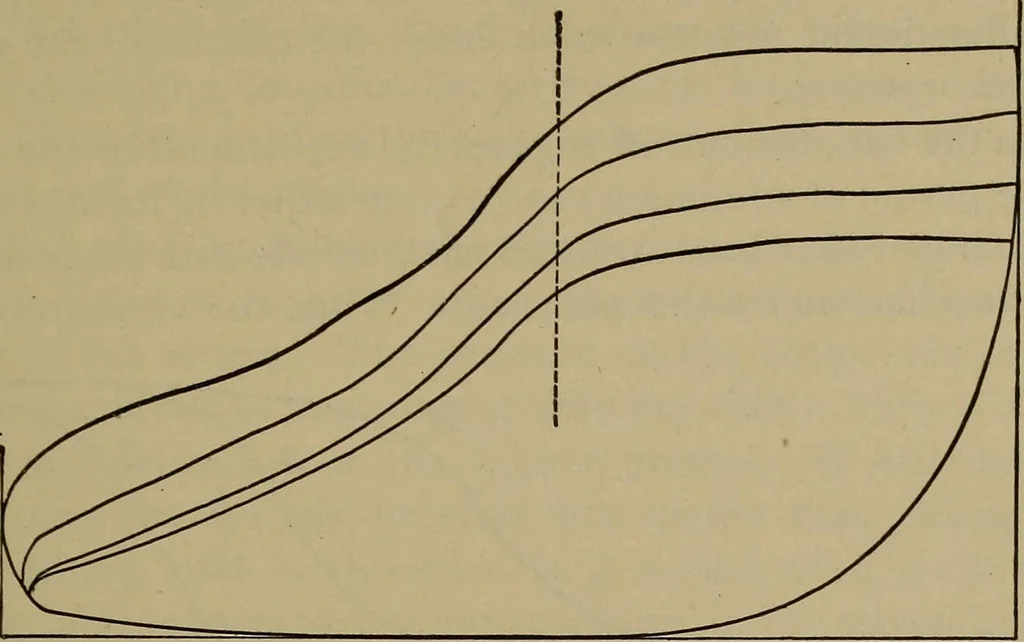 An illustration from The mechanical engineering of power plants, 1906, leaf 202