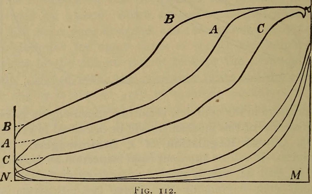 An illustration from The mechanical engineering of power plants, 1906, leaf 203