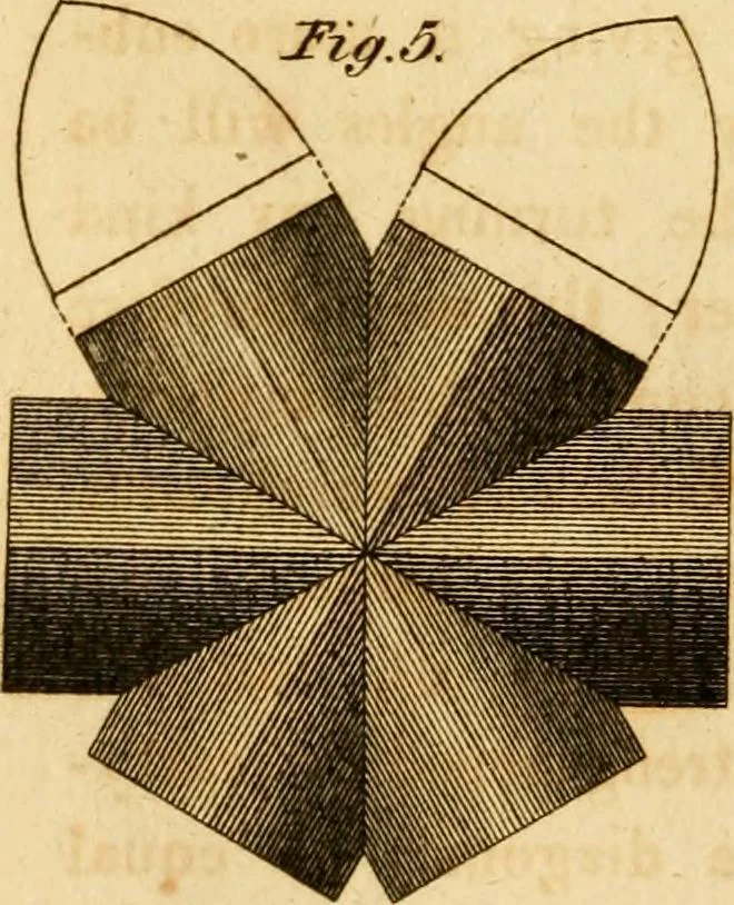 An illustration from Mechanical exercises, or, The elements and practice of carpentry, joinery, bricklaying, masonry, slating, plastering, painting, smithing, and turning, 1812, leaf 339