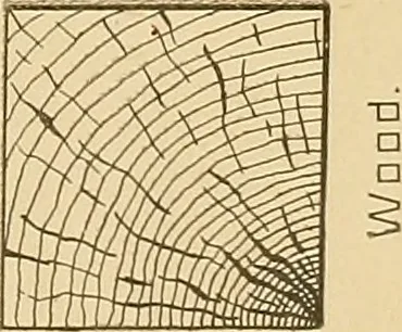 An illustration from Mechanical graphics. An educational course on the theory and practice of mechanical drawing, 1890, leaf 16