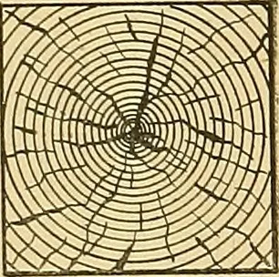 An illustration from Mechanical graphics. An educational course on the theory and practice of mechanical drawing, 1890, leaf 33