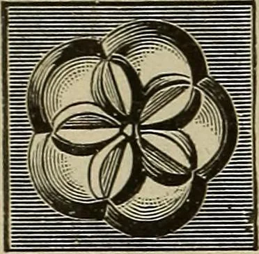 An illustration from The mechanical index, 1904. A complete index to the names and addresses of all manufacturers in the United States of mechanical appliances, machinery and tools operated by steam, electricity, water, hand or foot power, 1904, leaf 1021