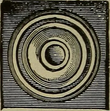 An illustration from The mechanical index, 1904. A complete index to the names and addresses of all manufacturers in the United States of mechanical appliances, machinery and tools operated by steam, electricity, water, hand or foot power, 1904, leaf 1021
