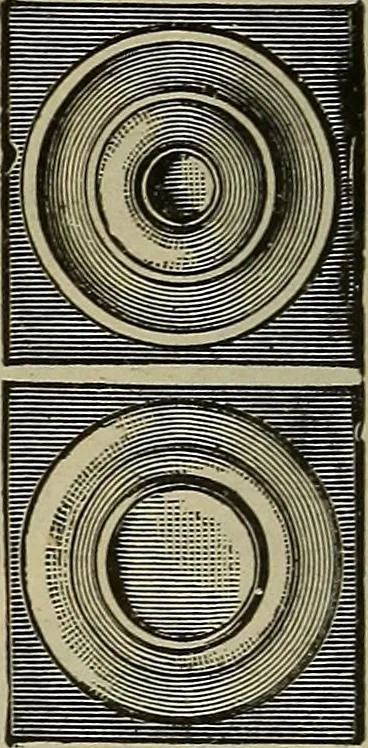 An illustration from The mechanical index, 1904. A complete index to the names and addresses of all manufacturers in the United States of mechanical appliances, machinery and tools operated by steam, electricity, water, hand or foot power, 1904, leaf 1021