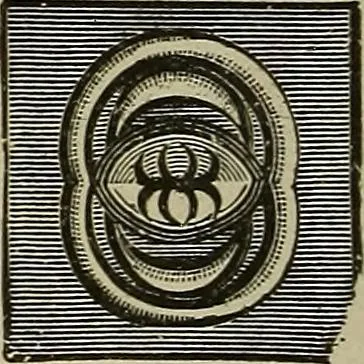 An illustration from The mechanical index, 1904. A complete index to the names and addresses of all manufacturers in the United States of mechanical appliances, machinery and tools operated by steam, electricity, water, hand or foot power, 1904, leaf 1021