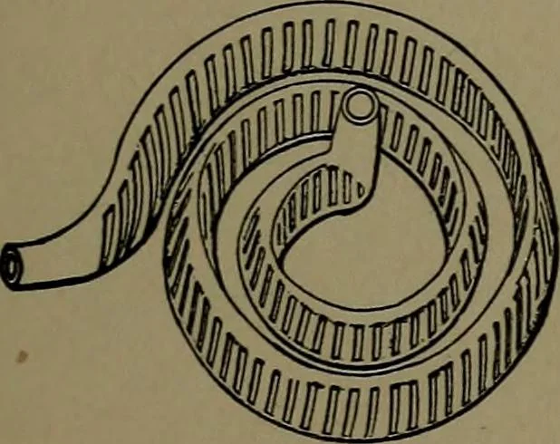An illustration from Mechanical movements, powers and devices; a treatise describing mechanical movements and devices used in construcive and operative mechinery and the mechanical arts, being practically a mechanical dictionary, 1917, leaf 70