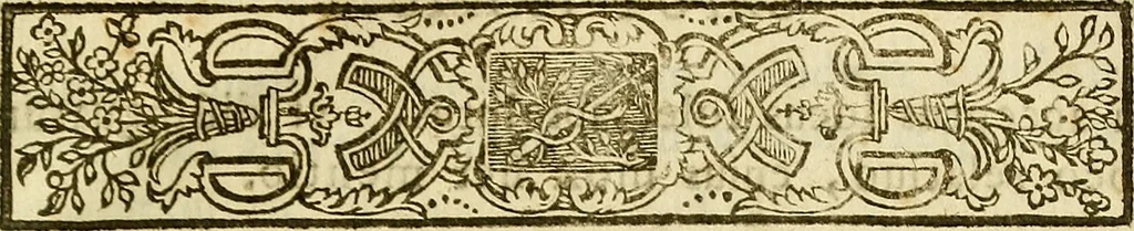 An illustration from Mechanica, sive, Motus scientia analytice exposita, 1736, leaf 20