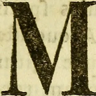 An illustration from Mechanica, sive, Motus scientia analytice exposita, 1736, leaf 20