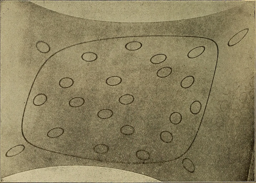An illustration from Mechanics and heat; a text book for collleges and technical schools, 1916, leaf 201