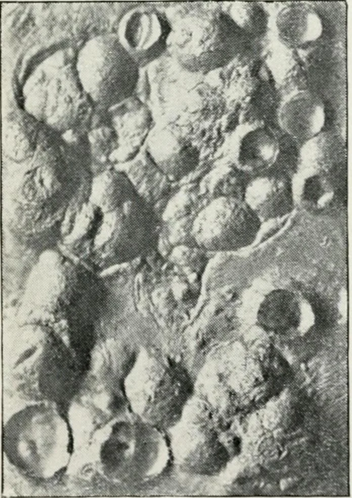 An illustration from The mechanics of the moon : dedicated to the astronomers and astrophysicists, 1906, leaf 36