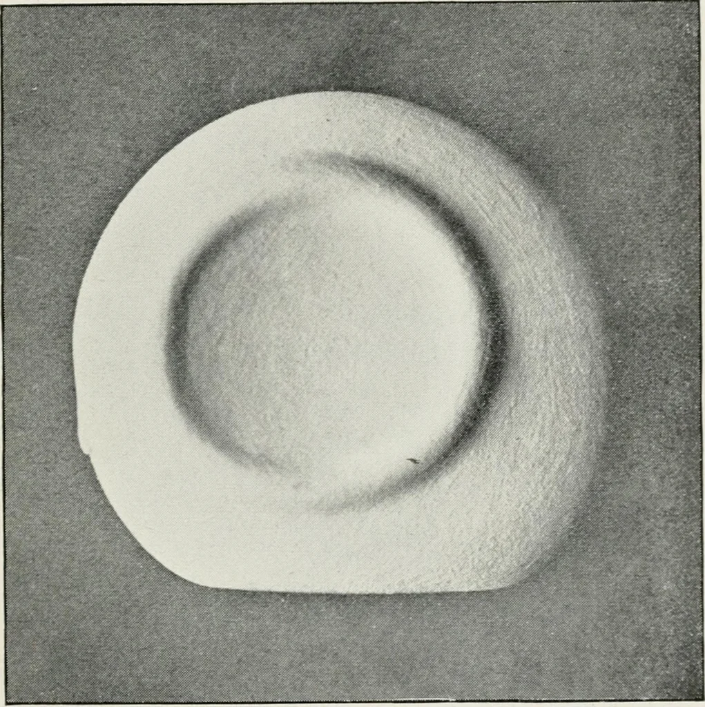 An illustration from The mechanics of the moon : dedicated to the astronomers and astrophysicists, 1906, leaf 38