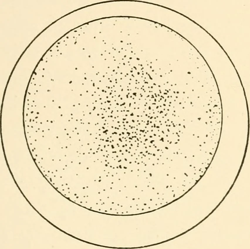 An illustration from The mechanistic conception of life : biological essays, 1912, leaf 144