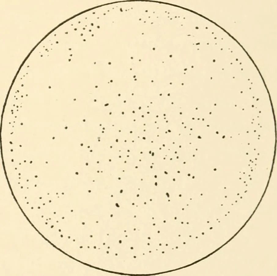 An illustration from The mechanistic conception of life : biological essays, 1912, leaf 144
