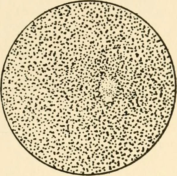 An illustration from The mechanistic conception of life : biological essays, 1912, leaf 146