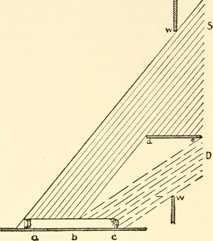 An illustration from The mechanistic conception of life : biological essays, 1912, leaf 63