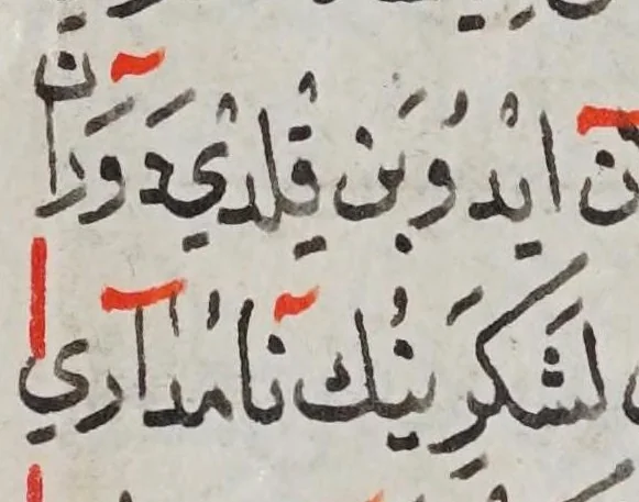 An illustration from [Mecmūʿa-ı ḳıṣaṣ-ı Resūl ve ṣaḥābe], 1592, leaf 299