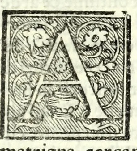 An illustration from Medea : tragedia, 1558, leaf 7
