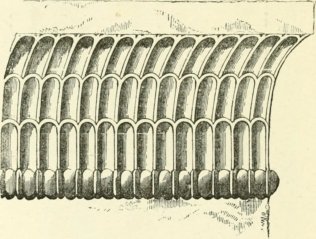 An illustration from Media, Babylon and Persia : including a study of the Zend-Avesta or religion of Zoroaster, from the fall of Nineveh to the Persian war, 1889, leaf 429
