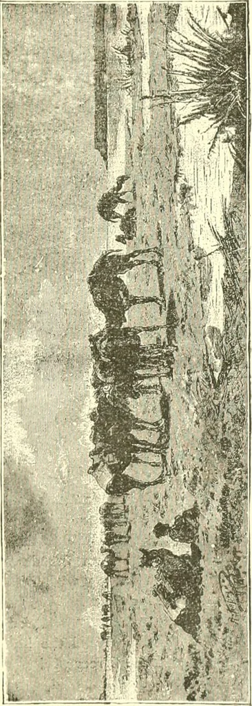 An illustration from Media, Babylon and Persia : including a study of the Zend-Avesta or religion of Zoroaster, from the fall of Nineveh to the Persian war, 1889, leaf 84
