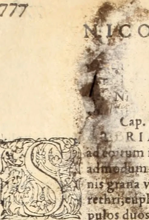 An illustration from Medicae artis principes, post Hippocratem & Galenum. Graeci Latinitate donati, Aretaeus, Ruffus Ephesius, Oribasius, Paulus Aegineta, Aëtius, Alex. Trallianus, Actuarius, Nic. Myrepsus. Latini, Corn. Celsus, Scrib. Largus, Marcell. Empiricus. Aliíque praeterea, quorum unius nomen ignoratur. Index non solùm copiosus, sed etiam ordine artificioso omnia digesta habens. Hippocr. aliquot loci cum Corn. Celsi interpretatione, 1567, leaf 727