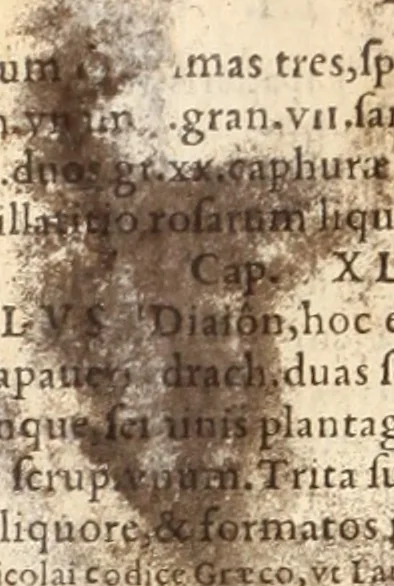 An illustration from Medicae artis principes, post Hippocratem & Galenum. Graeci Latinitate donati, Aretaeus, Ruffus Ephesius, Oribasius, Paulus Aegineta, Aëtius, Alex. Trallianus, Actuarius, Nic. Myrepsus. Latini, Corn. Celsus, Scrib. Largus, Marcell. Empiricus. Aliíque praeterea, quorum unius nomen ignoratur. Index non solùm copiosus, sed etiam ordine artificioso omnia digesta habens. Hippocr. aliquot loci cum Corn. Celsi interpretatione, 1567, leaf 733
