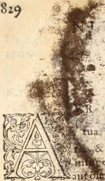 An illustration from Medicae artis principes, post Hippocratem & Galenum. Graeci Latinitate donati, Aretaeus, Ruffus Ephesius, Oribasius, Paulus Aegineta, Aëtius, Alex. Trallianus, Actuarius, Nic. Myrepsus. Latini, Corn. Celsus, Scrib. Largus, Marcell. Empiricus. Aliíque praeterea, quorum unius nomen ignoratur. Index non solùm copiosus, sed etiam ordine artificioso omnia digesta habens. Hippocr. aliquot loci cum Corn. Celsi interpretatione, 1567, leaf 753
