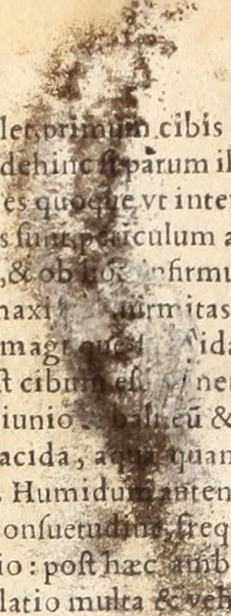 An illustration from Medicae artis principes, post Hippocratem & Galenum. Graeci Latinitate donati, Aretaeus, Ruffus Ephesius, Oribasius, Paulus Aegineta, Aëtius, Alex. Trallianus, Actuarius, Nic. Myrepsus. Latini, Corn. Celsus, Scrib. Largus, Marcell. Empiricus. Aliíque praeterea, quorum unius nomen ignoratur. Index non solùm copiosus, sed etiam ordine artificioso omnia digesta habens. Hippocr. aliquot loci cum Corn. Celsi interpretatione, 1567, leaf 769