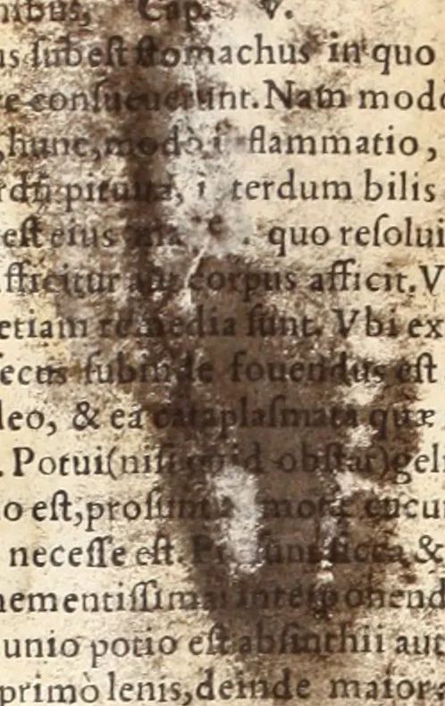 An illustration from Medicae artis principes, post Hippocratem & Galenum. Graeci Latinitate donati, Aretaeus, Ruffus Ephesius, Oribasius, Paulus Aegineta, Aëtius, Alex. Trallianus, Actuarius, Nic. Myrepsus. Latini, Corn. Celsus, Scrib. Largus, Marcell. Empiricus. Aliíque praeterea, quorum unius nomen ignoratur. Index non solùm copiosus, sed etiam ordine artificioso omnia digesta habens. Hippocr. aliquot loci cum Corn. Celsi interpretatione, 1567, leaf 797